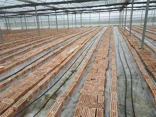 湖南農業(yè)水肥一體化灌溉,湖南別墅庭院智能灌溉,長沙沁園灌溉有限公司